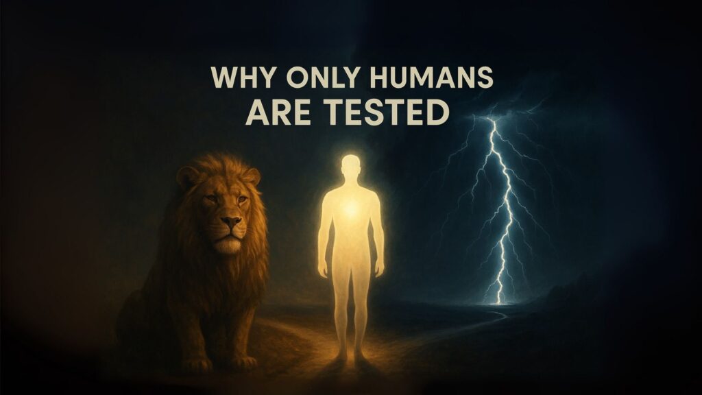 Why only humans are tested – concept showing human free will and spiritual choice.