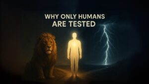 Why only humans are tested – concept showing human free will and spiritual choice.